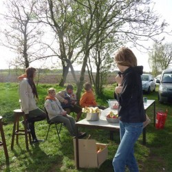Koala 137 - Scouts en Gidsen Zaventem 